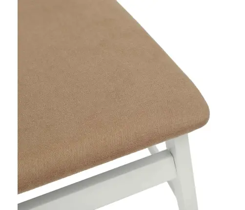 Söögitool 2 Pcs Valge Ja Pruun Paks Kautsukipuit