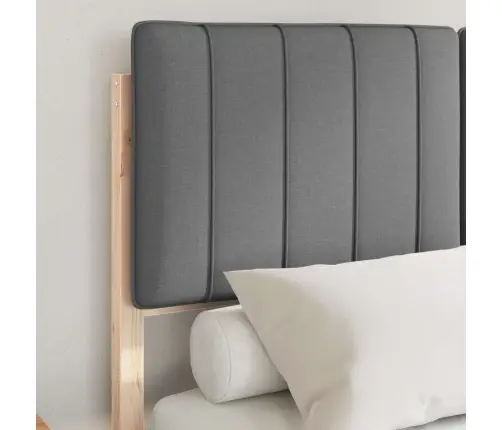 Lovo Rėmas Su Apmuštu Galvūgaliu Tamsiai Pilka 120 X 190 Cm