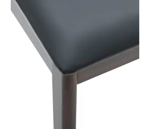 Söögitool 2 Pcs Helepruun Ja Must Tahke Kummipuu