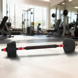 2-In-1 Hanteles Un Stiene 30Kg Komplekts Melns Un Sarkans Vidaxl