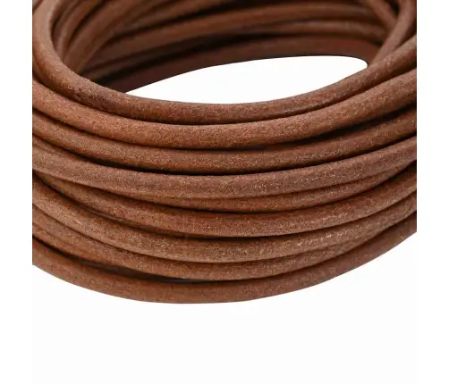 Ādas Aukla Gaiši Brūns Ø5 Mm X 10 M Āda Vidaxl