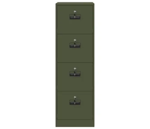 Bylų Spinta Su Stalčių 2 Pcs Alyvuogių Žalia 44 X 50 X 106.5 Cm