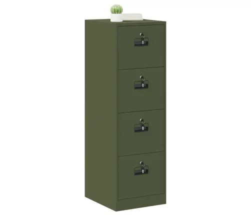 Bylų Spinta Su Stalčių 2 Pcs Alyvuogių Žalia 44 X 50 X 106.5 Cm