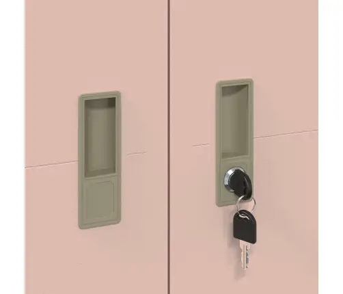 Hoiukapp 2 Pcs Roosa 60 X 40 X 200 Cm Külmvalsitud Teras