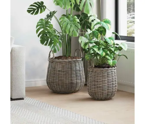 Gėlių Krepšys Su Saugykla 2 Pcs Pilka Lacak Ratanas