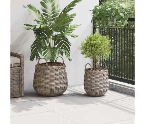 Gėlių Krepšys Su Saugykla 2 Pcs Pilka Lacak Ratanas