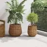 Stādītāju Grozs Ar Uzglabāšanu 2 Pcs Brūna Lacak Rattan Vidaxl