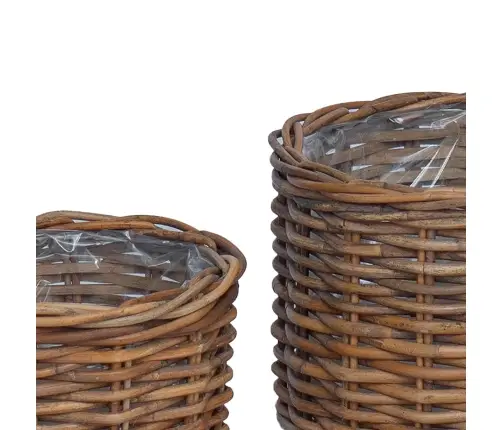Stādāmā Grozs Ar Uzglabāšanu 2 Pcs Brūna Kubu Rotangpalma Vidaxl