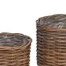 Stādāmā Grozs Ar Uzglabāšanu 2 Pcs Brūna Kubu Rotangpalma Vidaxl