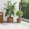 Stādāmā Grozs Ar Uzglabāšanu 2 Pcs Brūna Kubu Rotangpalma Vidaxl