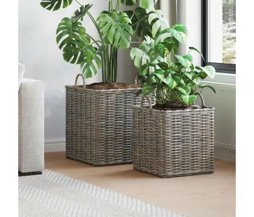 Potitaimede Korv Ladustamisega 2 Pcs Hall Lacak Rattaan