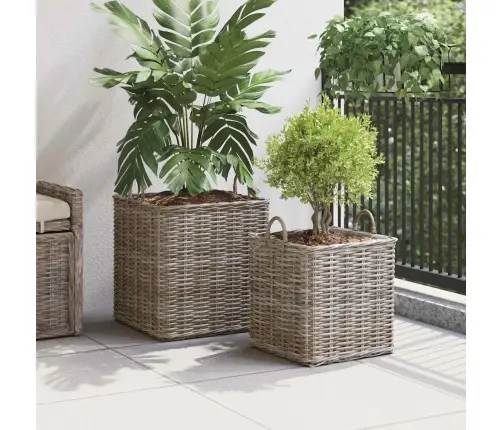 Potitaimede Korv Ladustamisega 2 Pcs Hall Lacak Rattaan