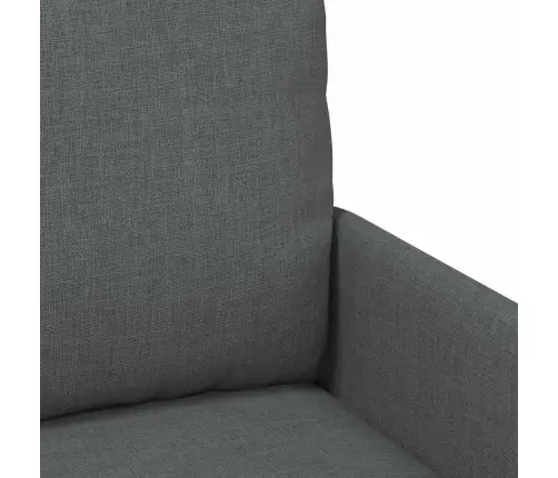 Dīvāni Ar Spilvenu 55Cm Tumši Pelēks Saplāksnis Vidaxl