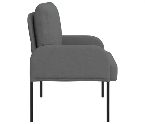 Dīvāni Ar Spilvenu 55Cm Tumši Pelēks Saplāksnis Vidaxl