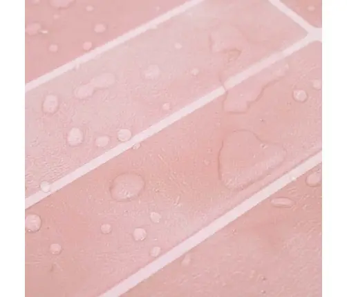 Ristkülikukujuline Plaat 20 Pcs Roosa 29 X 22.9 Cm