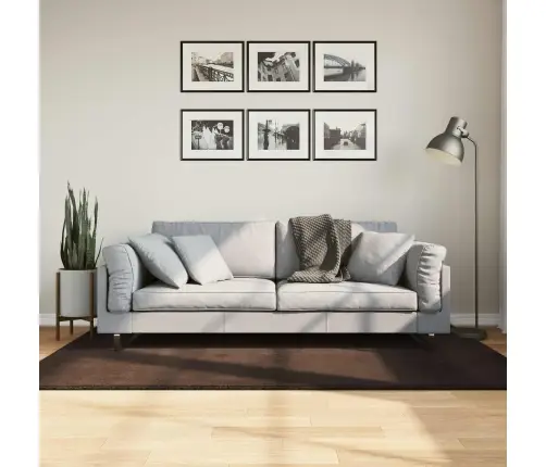 Alavaibad Ristkülik Huarte Pruun 170 X 120 Cm Polüester