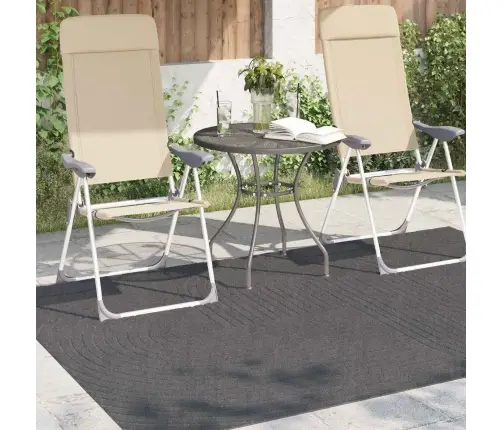 Teritorijas Paklāji Taisnstūra Antracīts 230 X 160 Cm Vidaxl