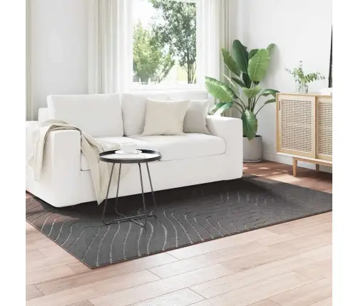 Alavaibad Ristkülik Huarte Antratsiit 200 X 140 Cm Polüester