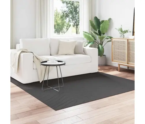 Teritorijas Paklāji Kvadrātveida Antracīts 200 X 200 Cm Vidaxl
