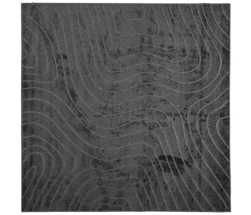 Teritorijas Paklāji Kvadrātveida Antracīts 200 X 200 Cm Vidaxl