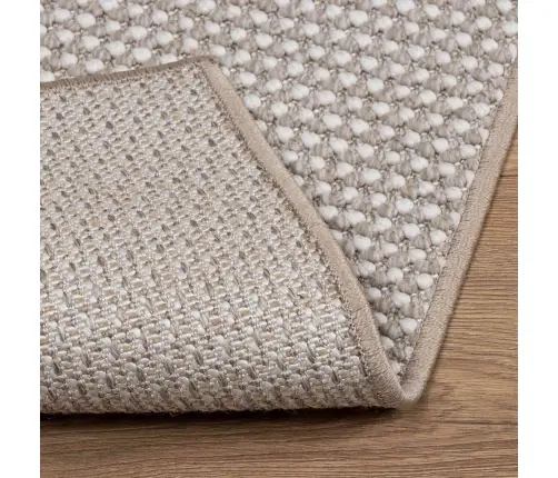 Teritorijas Paklāji Taisnstūra Krēms Un Taupe 230 X 160 Cm Vidaxl