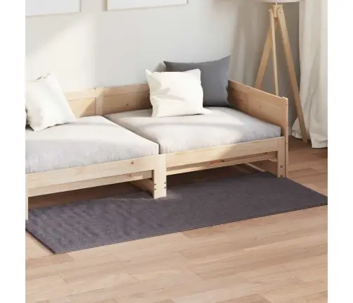 Teritorijas Paklāji Taisnstūra Antracīts 200 X 80 Cm Vidaxl