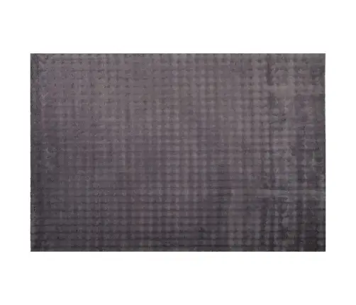 Teritorijas Paklāji Taisnstūra Antracīts 170 X 120 Cm Vidaxl