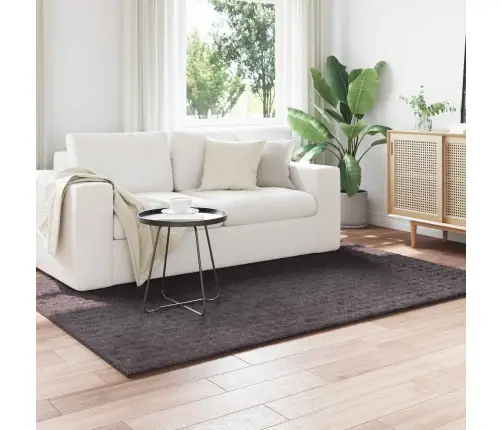 Alavaibad Ristkülik Huarte Antratsiit 200 X 140 Cm Polüester