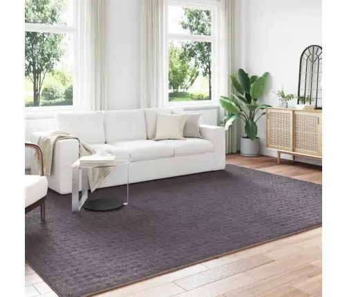 Alavaibad Ristkülik Huarte Antratsiit 280 X 200 Cm Polüester