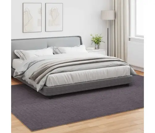 Alavaibad Ristkülik Huarte Antratsiit 280 X 200 Cm Polüester