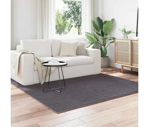 Teritorijas Paklāji Kvadrātveida Antracīts 200 X 200 Cm Vidaxl