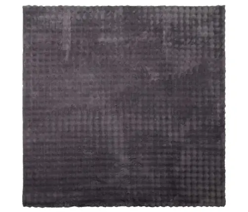 Teritorijas Paklāji Kvadrātveida Antracīts 200 X 200 Cm Vidaxl