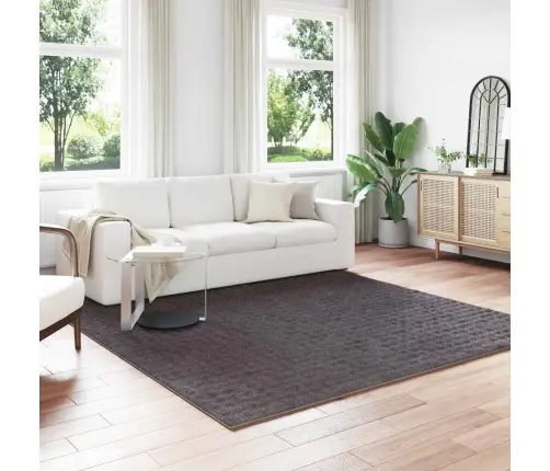 Teritorijas Paklāji Kvadrātveida Antracīts 240 X 240 Cm Vidaxl