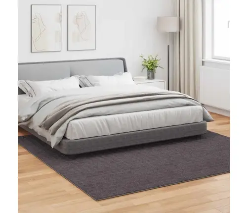 Teritorijas Paklāji Kvadrātveida Antracīts 240 X 240 Cm Vidaxl