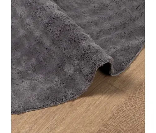 Teritorijas Paklāji Apaļš Antracīts Ø 200 Cm Vidaxl