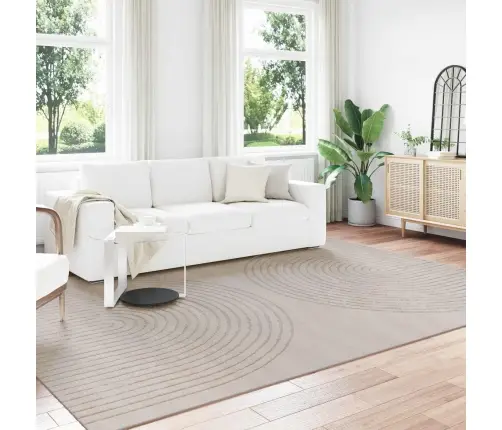 Alavaibad Ristkülik Beež 340 X 240 Cm