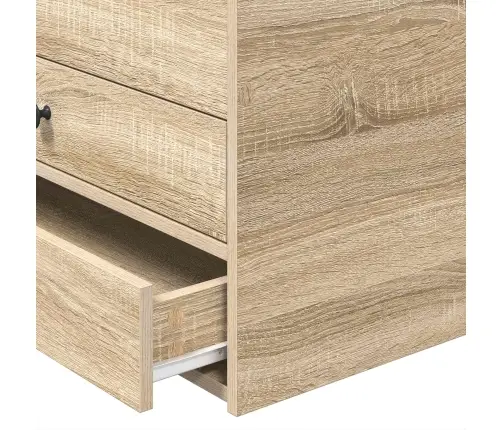 Diena Gulta Sonoma Ozols Un Melns 90 X 200 Cm Inženierijas Koks Vidaxl