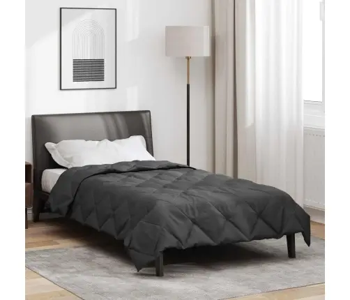 Suvised Teki Antratsiit 200 X 135 Cm Mikrokiud