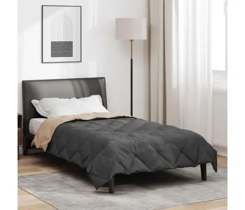 Vasaros Antklodė Antracito Ir Taupe 200 X 135 Cm Mikropluoštas