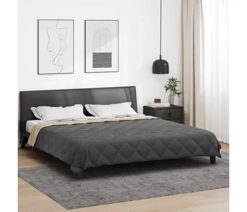 Vasaras Segas Antracīts Un Taupe 220 X 260 Cm Mikrošķiedra Vidaxl