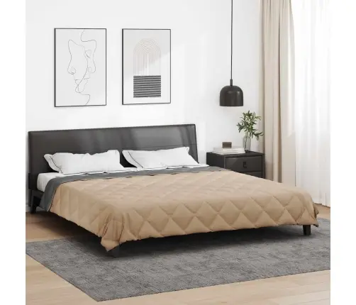 Vasaras Segas Antracīts Un Taupe 240 X 260 Cm Mikrošķiedra Vidaxl