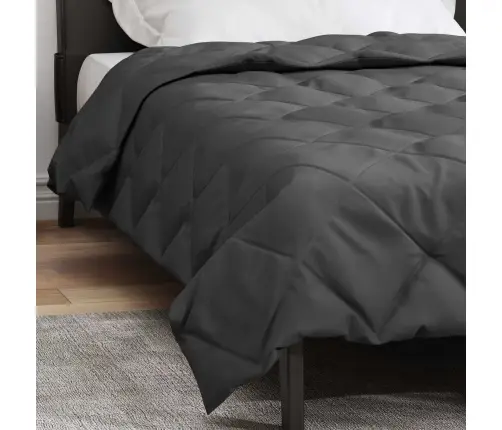 Täispika Aasta Tekk Antratsiit 220 X 135 Cm Mikrokiud