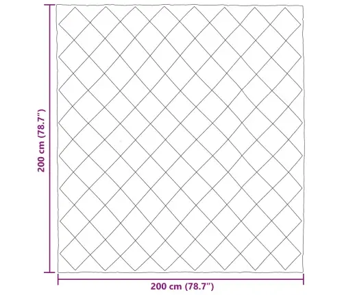 Pilnas Gada Sega Gaiši Pelēks 200 X 200 Cm Mikrošķiedra Vidaxl