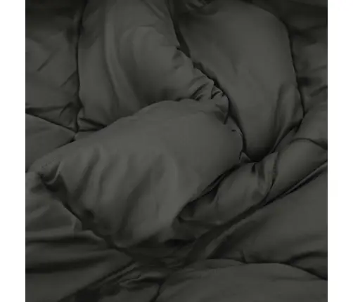 Ziemas Gultas Sega Antracīts 220 X 135 Cm Mikrošķiedra Vidaxl