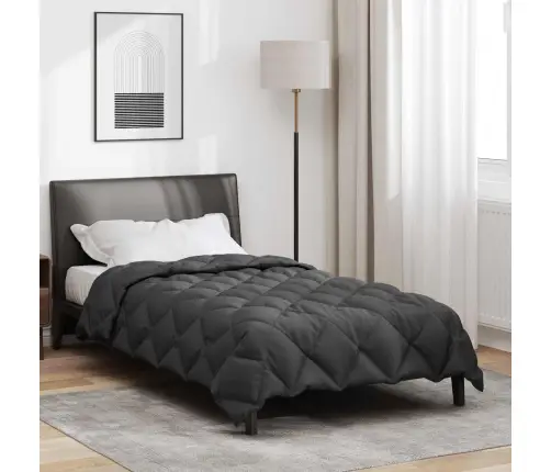 Talve Tek Antratsiit 220 X 155 Cm Mikrokiud