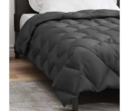 Talve Tek Antratsiit 220 X 155 Cm Mikrokiud