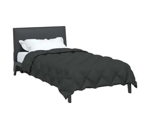 Talve Tek Antratsiit 220 X 155 Cm Mikrokiud