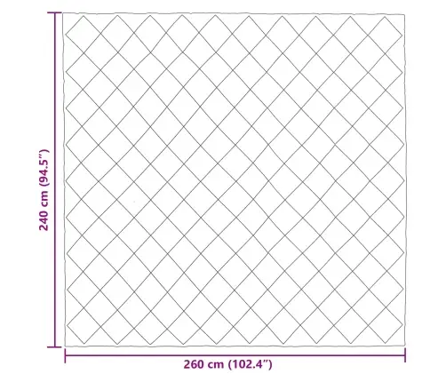 Ziemas Gultas Sega Antracīts Un Taupe 240 X 260 Cm Mikrošķiedra Vidaxl