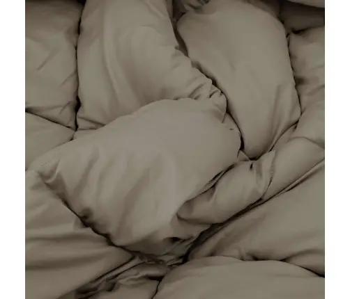 Žiemos Antklodė Šviesiai Pilka 240 X 200 Cm Mikropluoštas