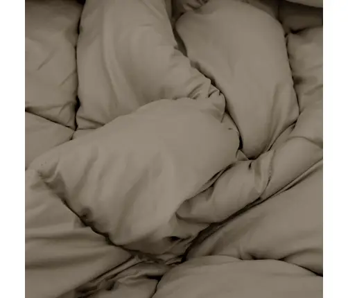 Ziemas Gultas Sega Gaiši Pelēks 220 X 140 Cm Mikrošķiedra Vidaxl